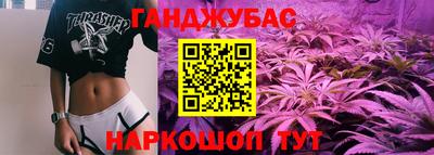крисы Ставрополь