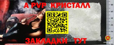 крисы Ставрополь
