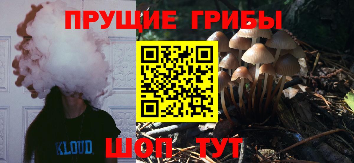 Псилоцибиновые грибы MAGIC MUSHROOMS  Псилоцибиновые грибы Cubensis  Орск  Вход с VPN 